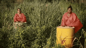 mexico GIF by Remezcla