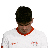 Line Up Hello Sticker by Bundesliga