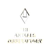tao theanimalsobservatory Sticker