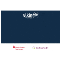 sub4sportevents viking triathlon viking triathlon bib Sticker