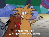 nickrewind nicksplat angry beavers GIF