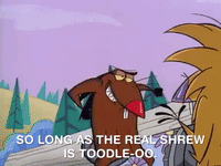 nickrewind nicksplat angry beavers GIF