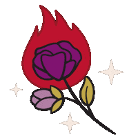 lauranicolestudio fire flower stars rose Sticker