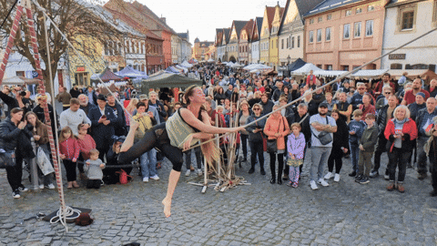 Kolinskaspolecnostpopravu GIF by Poprávu