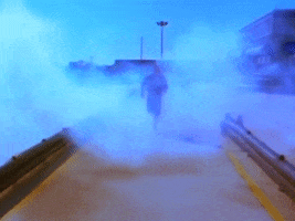 You Win My Love Running GIF by Shania Twain