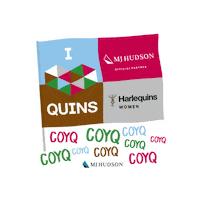 Womens Rugby Sticker by Harlequins Women