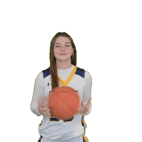 Clarke Athletics Sticker by Clarke University