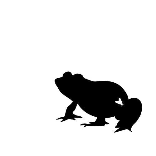 Frog Sticker by JGrrey