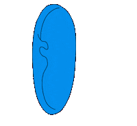 abixacipismoreira animation cartoon hand ear Sticker