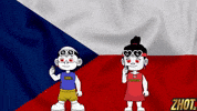 Karlovy Vary Flag GIF by Zhotcita