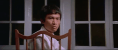 martial arts film GIF by Shaw Brothers