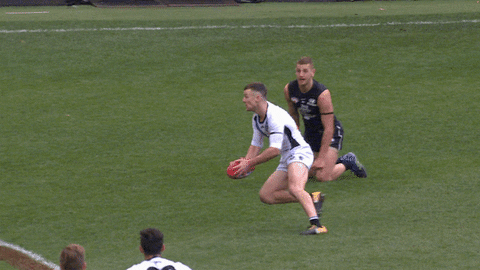 kick bounce GIF by Port Adelaide FC