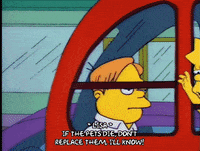 driving homer simpson GIF