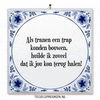 Humor Hoop GIF by Tegelspreuken.nl