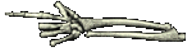 part body STICKER