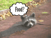 hungry pizza GIF