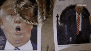donald trump GIF by THE HUNT FOR THE TRUMP TAPES