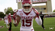 Lets Go Football GIF by Arkansas Razorbacks