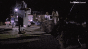 Punkd GIF by The Roku Channel