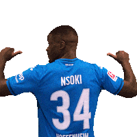Sport Bundesliga Sticker by TSG Hoffenheim