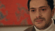 Ela Leyla GIF by Ay Yapım