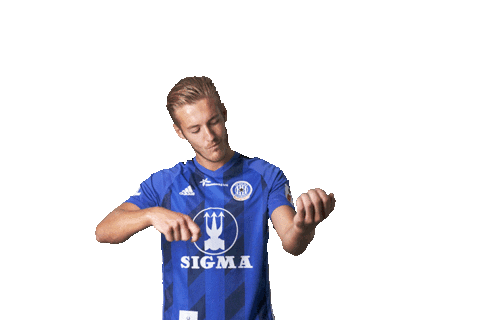 Football Soccer Sticker by FORTUNA:LIGA