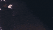 tyler the creator genesis GIF by Columbia Records