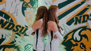 Volleyball Bison GIF by NDSU Athletics