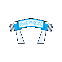 Handball Cantal Sticker