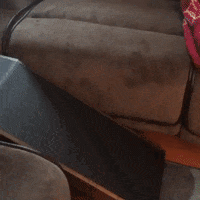 Dog Ramp GIF