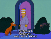 homer simpson cat GIF