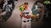 north dakota state baseball GIF by NDSU Athletics