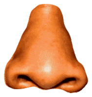 jay-z nose Sticker by PIZZASLIME