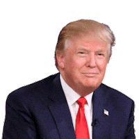 the donald trump Sticker by Natholdet