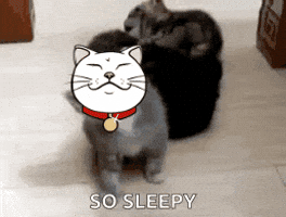 Needsleep Omg GIF by ShiroNeko