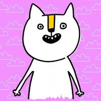 Cat Rainbow GIF by Kochstrasse™
