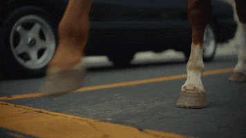 old town road GIF by Lil Nas X