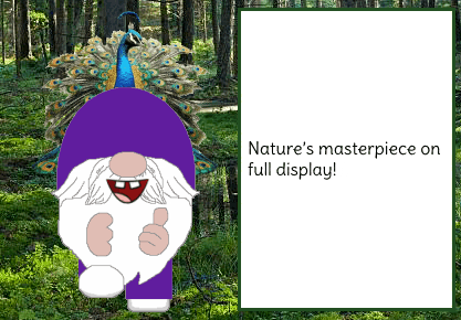 Gnome Peacock GIF