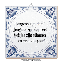 Humor Nl Sticker by Tegelspreuken.nl