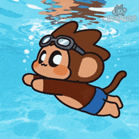 Water Sports Swimming GIF by Chimpers