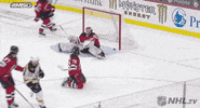 Ice Hockey Sport GIF by NHL