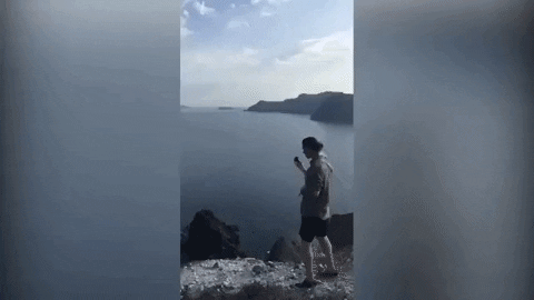 werner_the_ferret giphygifmaker GIF