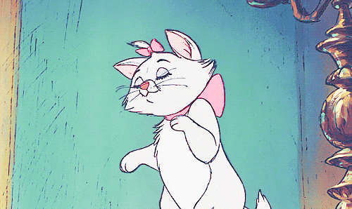 Cat Pink GIF