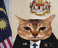 Prime Minister Cat GIF