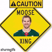 Minnesota Wild Hockey GIF