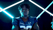 Old Dominion Sport GIF by ODU Football