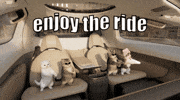 Trip Enjoy GIF by Verne Robotaxi