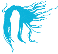 hair sea STICKER by Studios Stickers