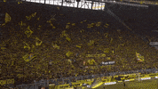 GIF by FOX Sports