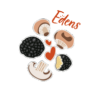 Snacks Mushroom Sticker by Edens Chips